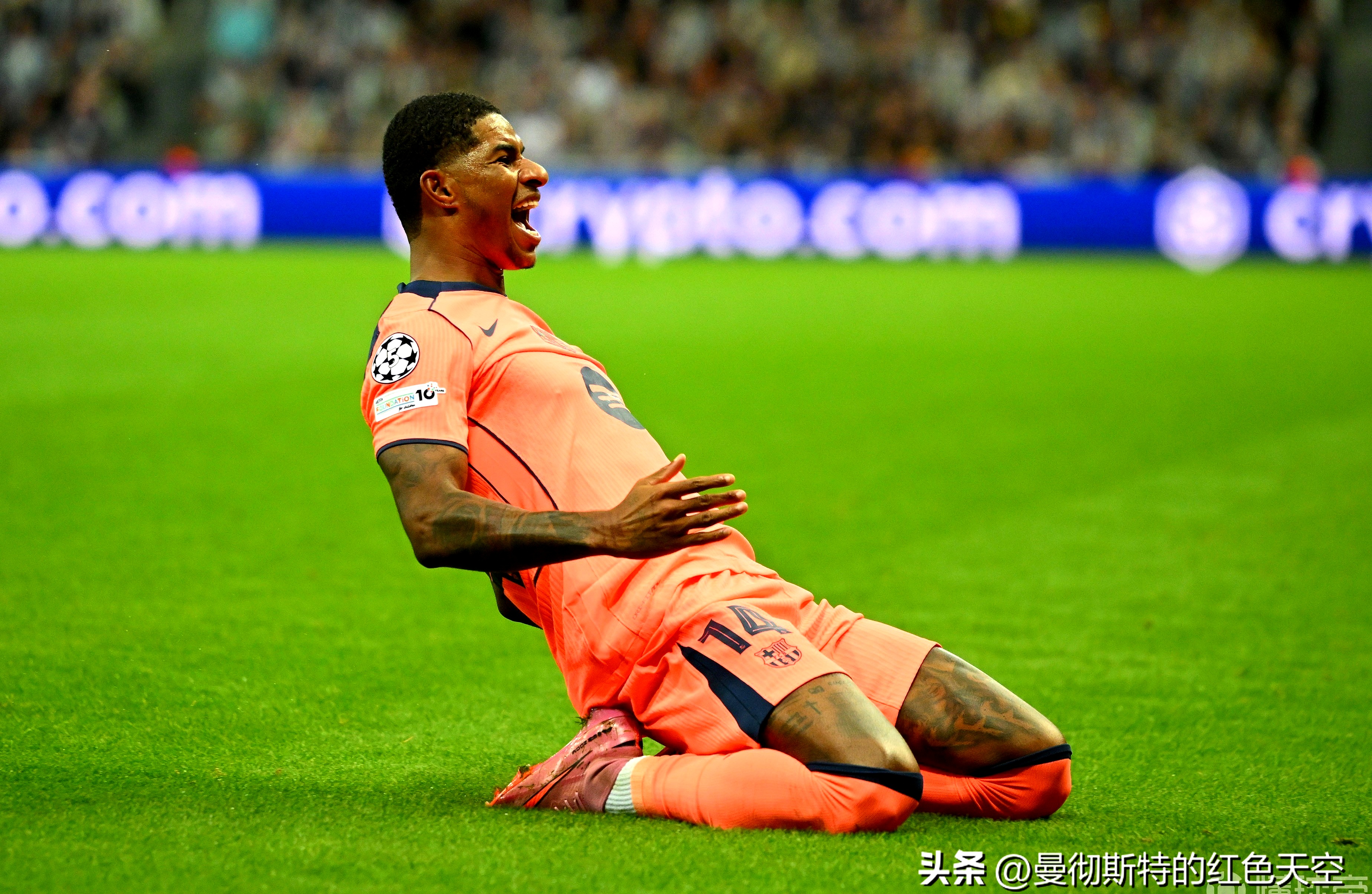 包含萨克拉门托国王清晨迎来里程碑；志在NBA季后赛名次提升；信心回归；控场能力受关注的词条